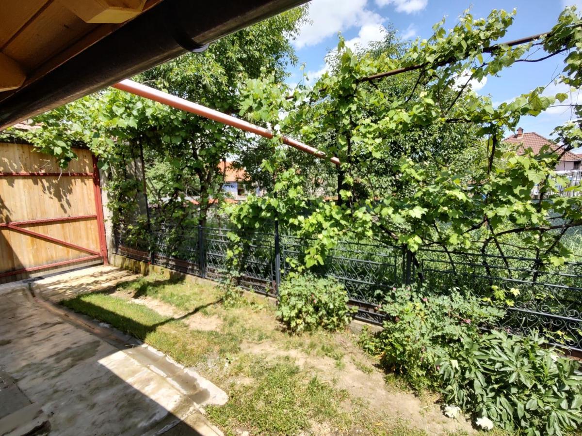 Hotel La Tataia Zahei Dragus Exterior foto
